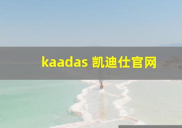 kaadas 凯迪仕官网